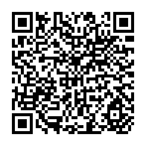 QR Code for Data Reduction
