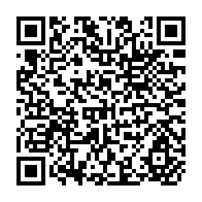 QR Code for Introduction to Factor Analysis What it is and How to Do it