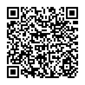 QR Code for Reliability and Validity Assessment