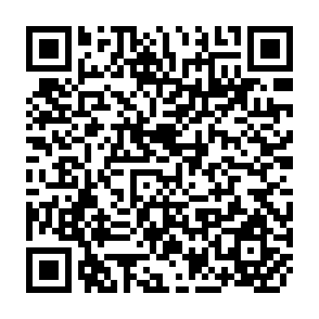 QR Code for Irrigated Rice Production Systems: Design Procedures
