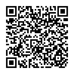 QR Code for Report of the Study on Multi-Level Information System for IRD in Bangladesh