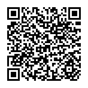 QR Code for Sudan : The Rahad Irrigation Project