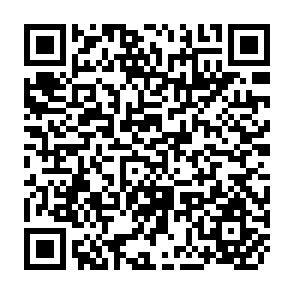 QR Code for Development Strategies for the Rural Poor