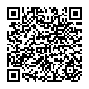 QR Code for Equity And Productivity Effects Of A Package Of Technical Innovations And Changes In Social Institutions: Tubewells, Tractors And High Yielding Varieties