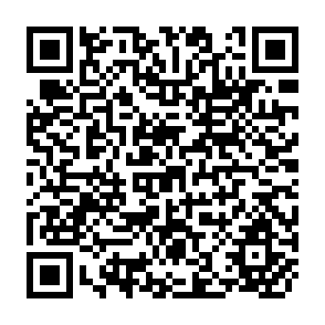 QR Code for Food Systems and Society: A Conceptual and Methodological Challenge
