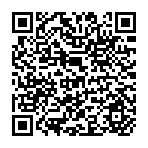 QR Code for Food System Organization Problems in Developing Countries