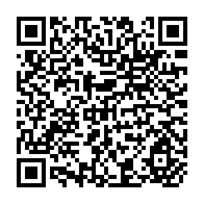 QR Code for A Writer's Reader