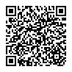 QR Code for Motivation of public officials serving small farming: The asian context