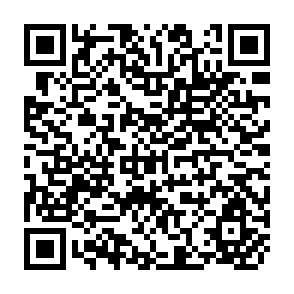 QR Code for Introduction to Social Welfare (Fifth Edition)