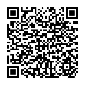 QR Code for Systems, Techniques & Tools Conservation Farming