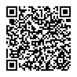 QR Code for Personal Finance