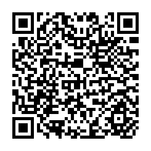 QR Code for Statistics