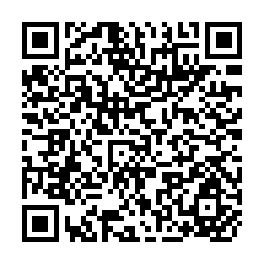 QR Code for Sales Management