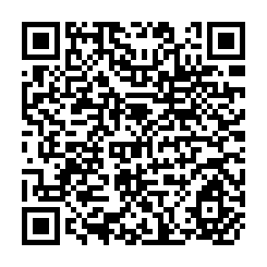 QR Code for Collection of Schedules and Questionnaires for Main Statistical Surveys in Japan