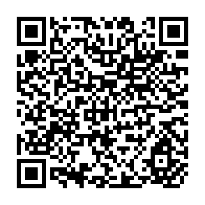 QR Code for Yearbook of Forest Products Annuaire Des Produits Forestiers Anuario De Productos Forestales