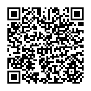 QR Code for Participatory Approaches to Agricultural Research and Development: A state of the Art Paper