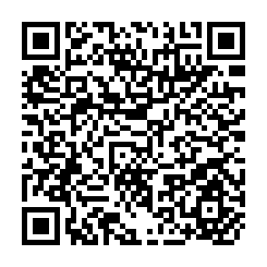 QR Code for Report of the Workshop on Poverty-Focused Rural Development and Small Farmer Credit