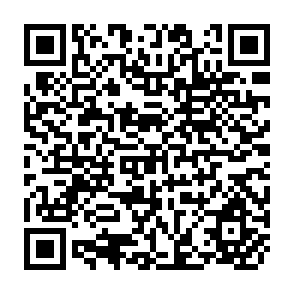 QR Code for Contrasts in Behavior