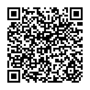 QR Code for Social Work Processors