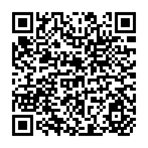 QR Code for Human Responses to Social Problems