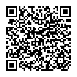 QR Code for Modelling Society