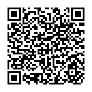 QR Code for Issues in Political Economy