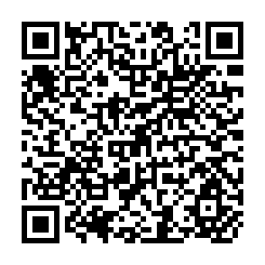 QR Code for Neo-Marxist Theories of Development