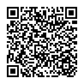 QR Code for The Theory and Practive of Integrated Rural Development