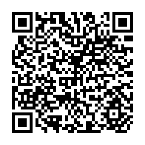 QR Code for Rural Credit: Trends and Prospects