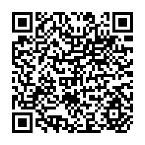 QR Code for The Economics of Small Farm Mechanization in Asia