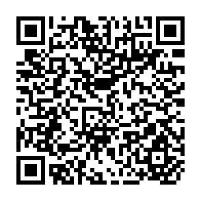 QR Code for The AVRDC Garden Program