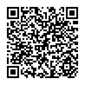 QR Code for World Development Report 1982