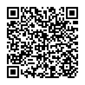QR Code for World Development Report 1984