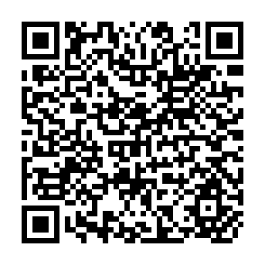 QR Code for Food Policy Analysis