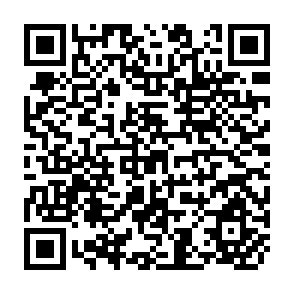 QR Code for Food Policy Analysis