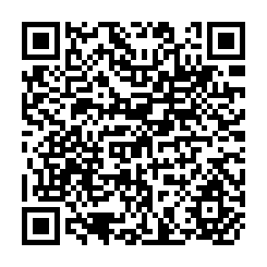 QR Code for Multidimensional Choice and Preference Reversals