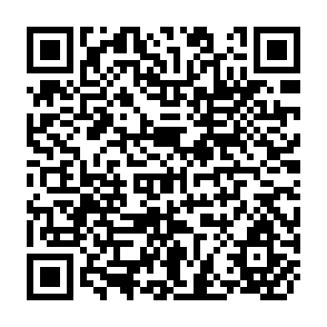 QR Code for Unravelling Social Policy- Theory, Analysis and Political Action Towards Social Equality