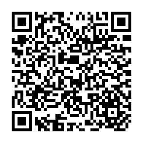 QR Code for The Shaping of Urban Society