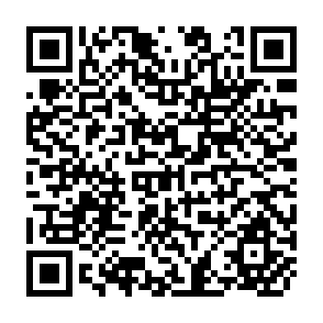 QR Code for Microeconomic Problems
