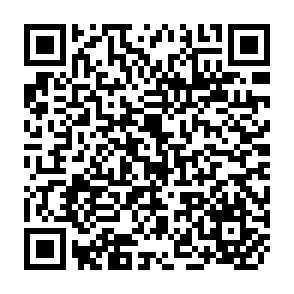 QR Code for Functionalism in Modern Sociology:Understanding Talcott Parsons