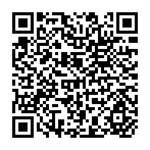 QR Code for Administration in the Ppublic Sector