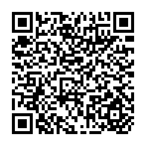 QR Code for Basic Marketing