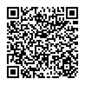 QR Code for The Press and America
