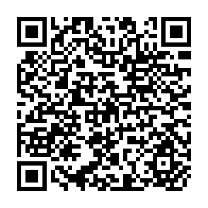 QR Code for The Economist Looks at Society