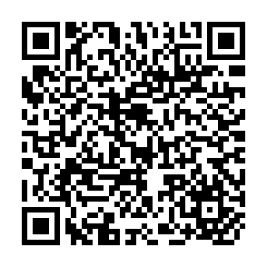 QR Code for Introduction to Sociology