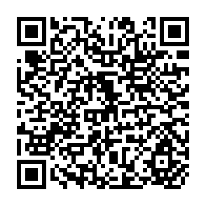 QR Code for Key Issues in Population Policy