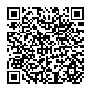 QR Code for Social Work- A Profession of Many Faces