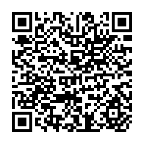 QR Code for Social Science Frontiers