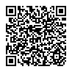 QR Code for The Limits to Satisfaction: An Essay on the Problem of Needs and Commodities