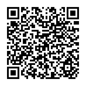 QR Code for The Basis of Accounting